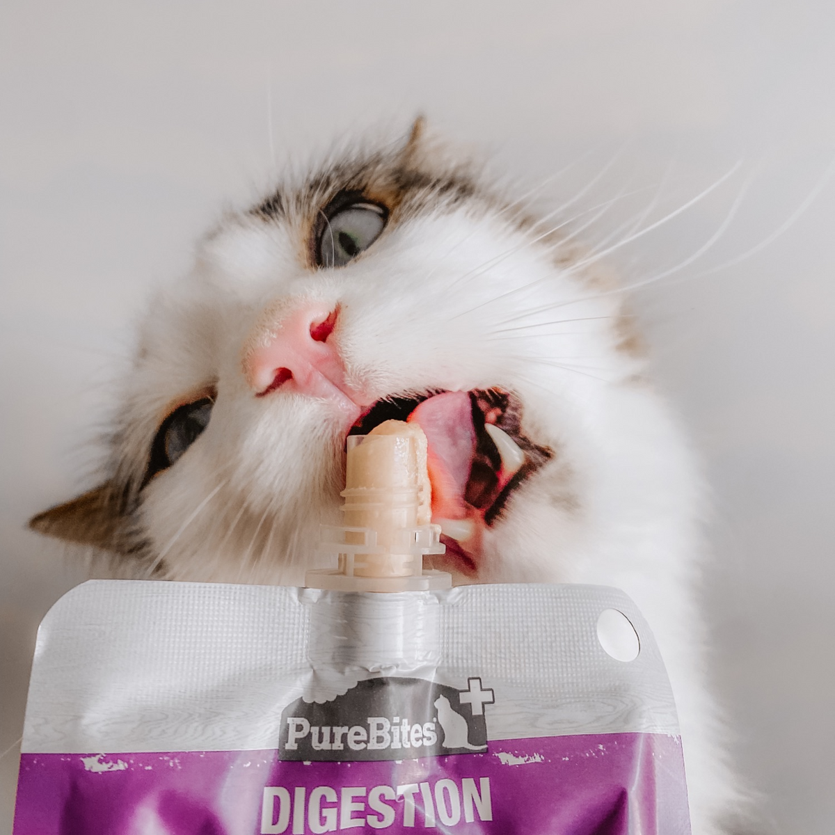 PureBites+ Gut & Digestion Creamy Cat Treat