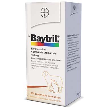Baytril (Enrofloxacin) Tablets for Dogs & Cats