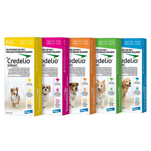 Credelio Chewable Tablets for Dogs, 1 Chew