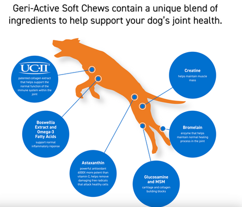 Geri-Active Soft Chews