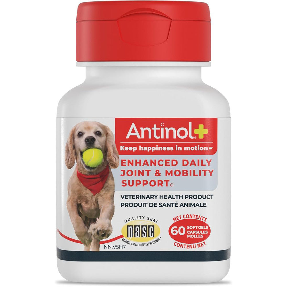 Antinol Plus Hip & Joint Supplement for Dogs, 60 Softgels