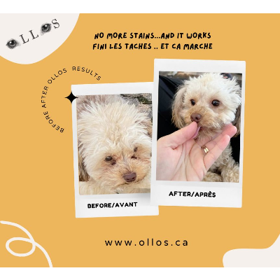 Ollos Tear Stain Eye Care Powder