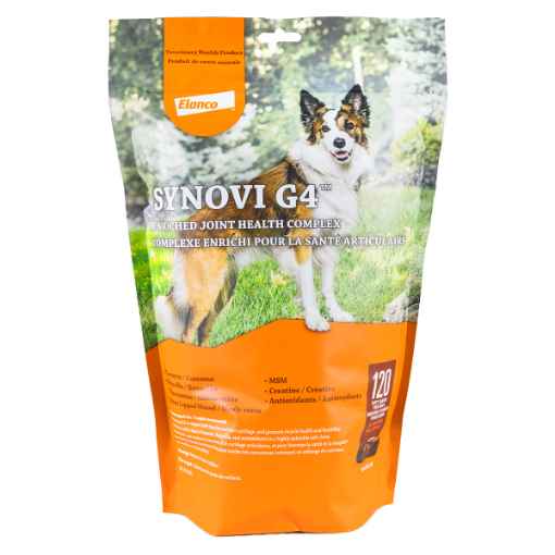 Synovi G4 Dog Joint Supplement Soft Chews