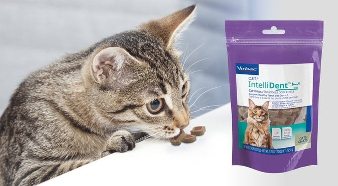 Virbac C.E.T. IntelliDent Cat Bites