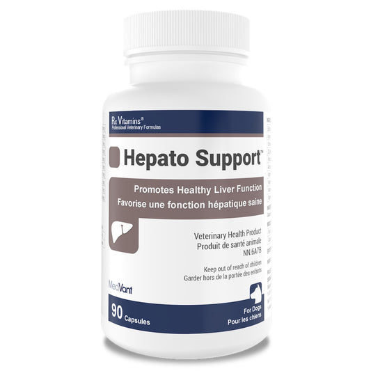 Rx Vitamins Hepato Support Liver Supplement for Dogs, 90 | 180 Capsules