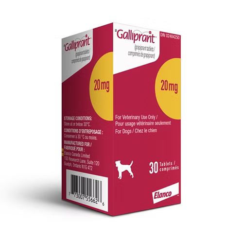 Galliprant (Grapiprant) for Dogs