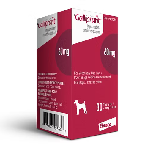 Galliprant (Grapiprant) for Dogs