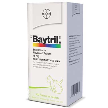 Baytril (Enrofloxacin) Tablets for Dogs & Cats