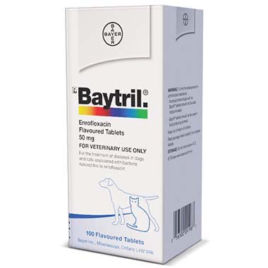 Baytril (Enrofloxacin) Tablets for Dogs & Cats