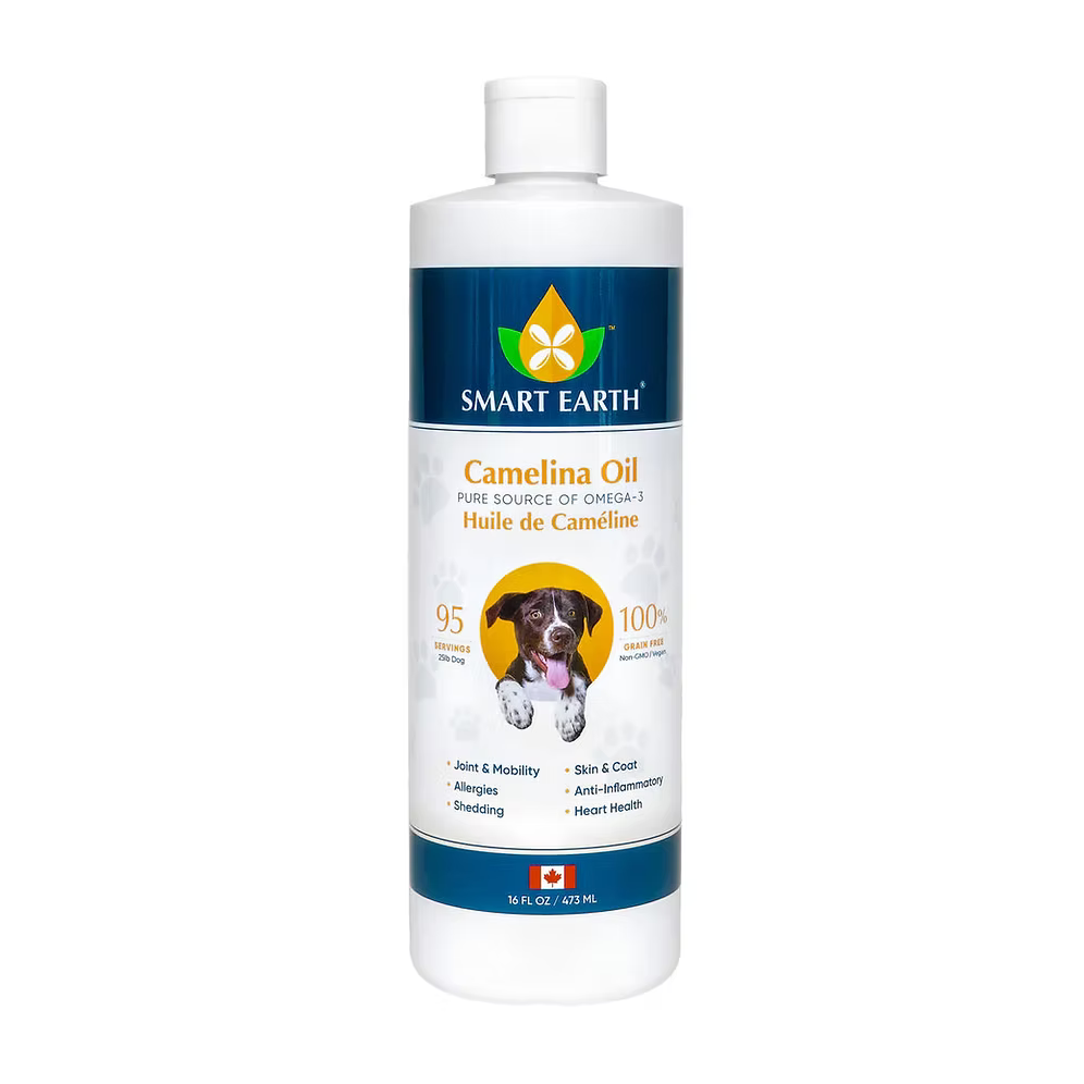 Camelina Oil