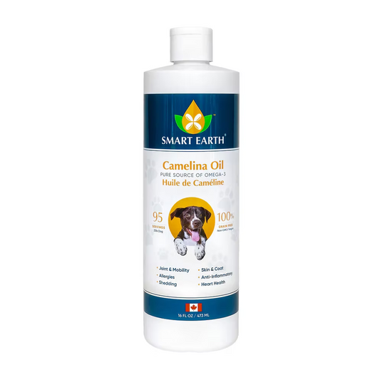 Camelina Oil