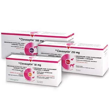 Clavaseptin Chewable Tablets for Dogs & Cats