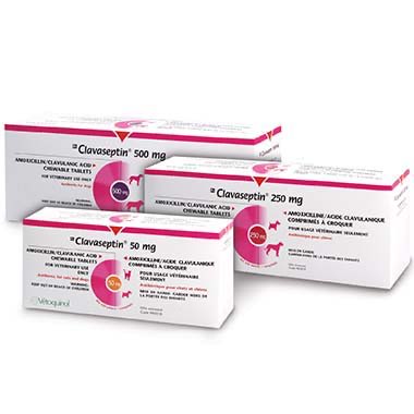 Clavaseptin Chewable Tablets for Dogs & Cats