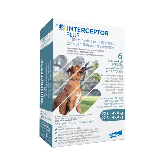 Interceptor Plus Chewable Tablets