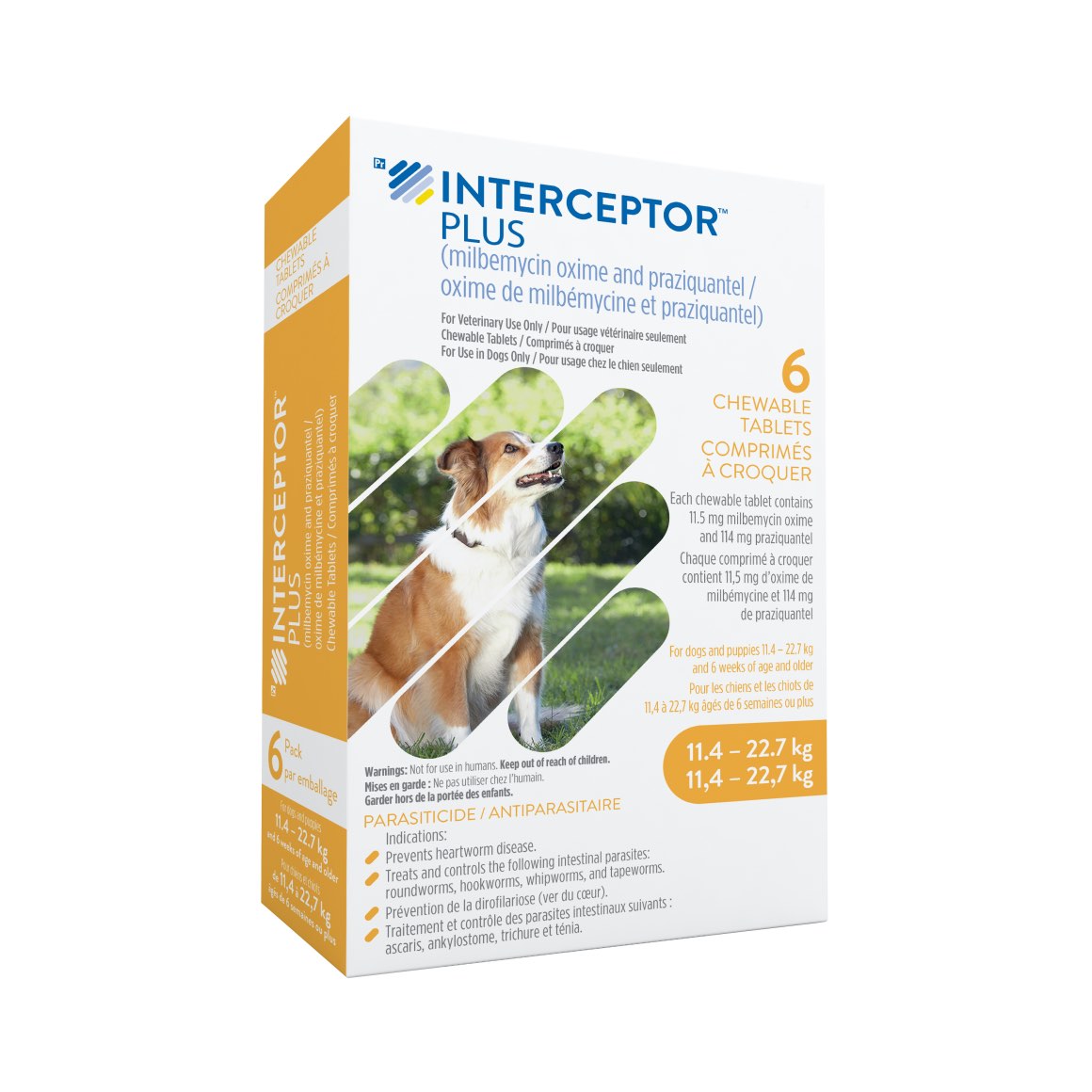 Interceptor Plus Chewable Tablets