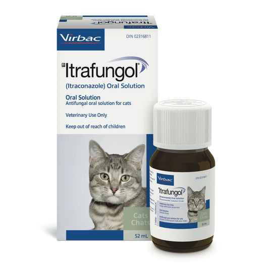 Itrafungol Oral Solution for Cats (10mg/ml)