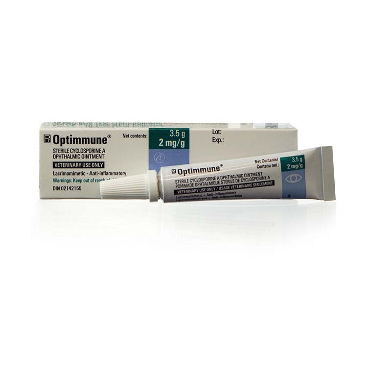 Optimmune (Cyclosporine) Ophthalmic Ointment for Dogs & Cats