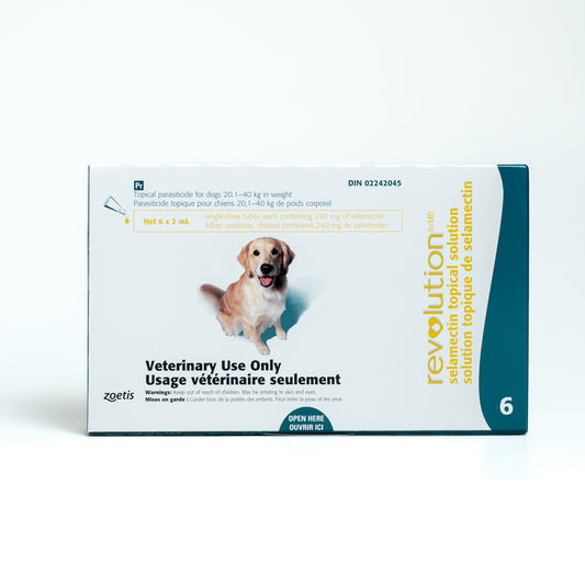Revolution Dog (6 Tubes)