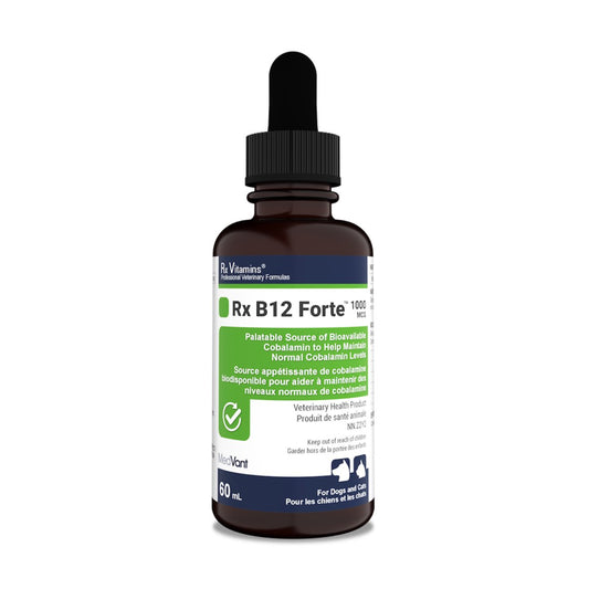 Rx Vitamins Rx B12 Forte for Dogs & Cats