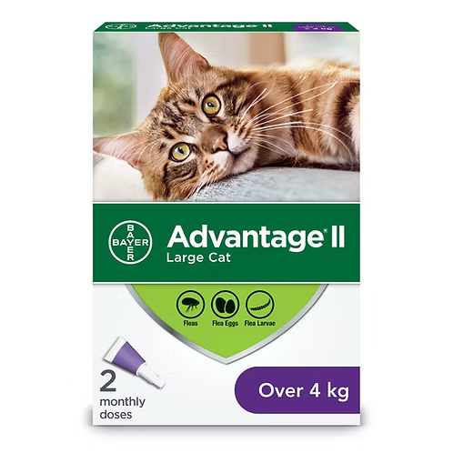 Advantage II Flea Treatment for Cats