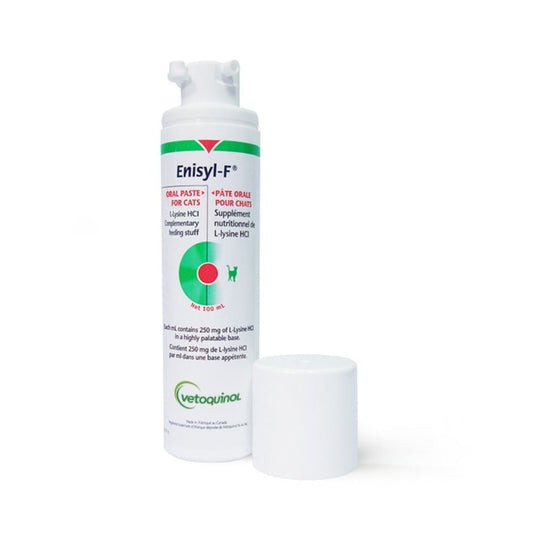 Enisyl-F L-Lysine HCL Oral Paste