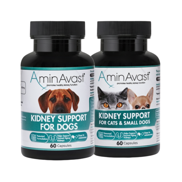 AminAvast Kidney Support Supplement for Cats & Dogs (60 Capsules)