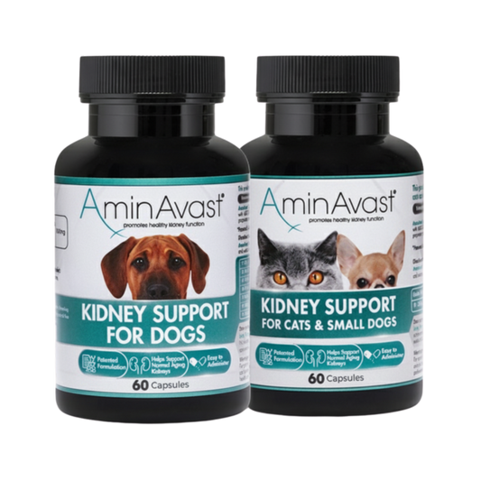 AminAvast Kidney Support Supplement for Cats & Dogs (60 Capsules)