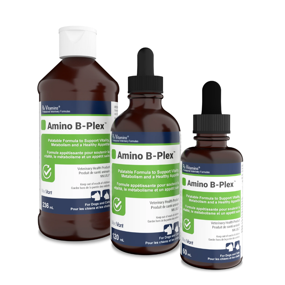 Rx Vitamins Amino B-Plex for Dogs & Cats
