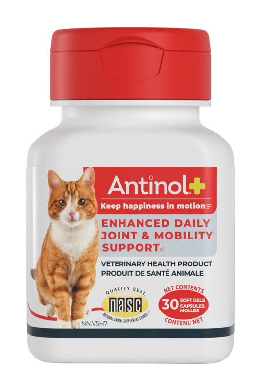 Antinol Plus Softgels for Cats 30 Caps