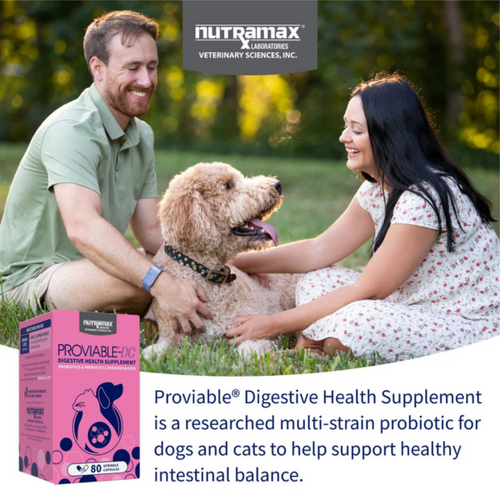 Nutramax Proviable-DC Probiotic for Dogs & Cats (30/ 80 Capsules)