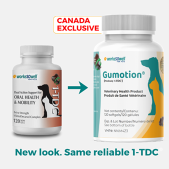Gumotion (1-TDC) Periodontal and Joint Soft Gels