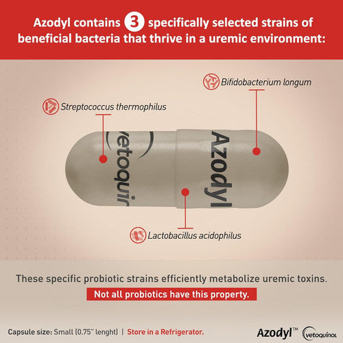 Azodyl Probiotic Renal Care for Dogs & Cats (90 capsules)