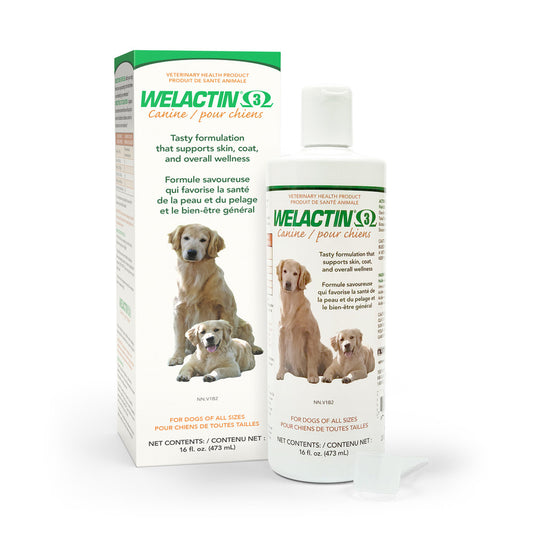 Welactin Canine Omega-3 Fish Oil Liquid for Dogs, 16 oz (473 mL)