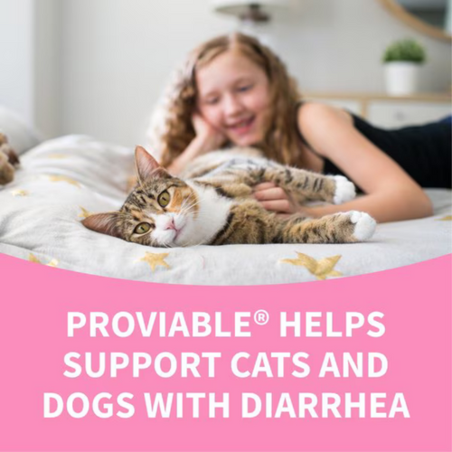 Nutramax Proviable-DC Probiotic for Dogs & Cats (30/ 80 Capsules)