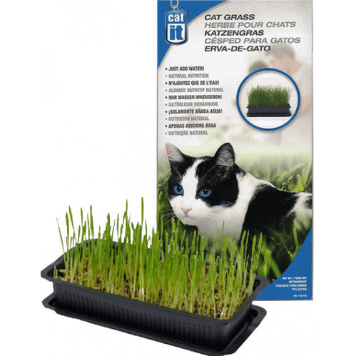 Catit Cat grass