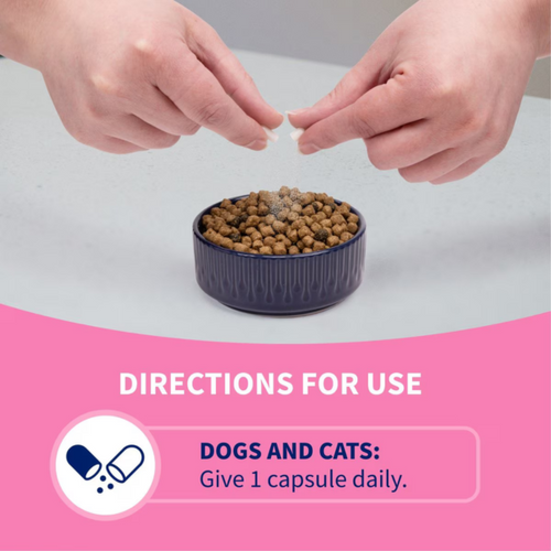 Nutramax Proviable-DC Probiotic for Dogs & Cats (30/ 80 Capsules)